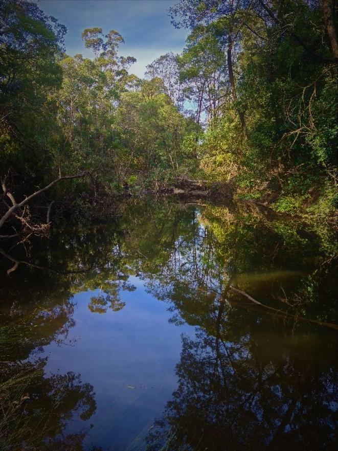 Bird Songs Getaway Accommodation Cabbage Tree Creek Ngoại thất bức ảnh