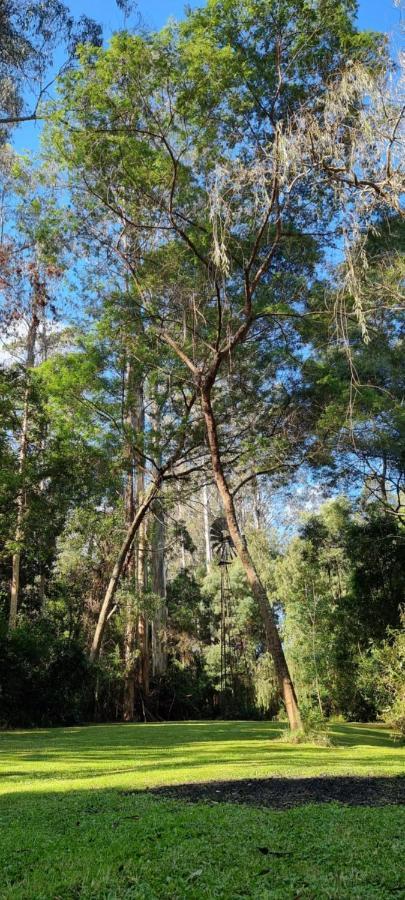 Bird Songs Getaway Accommodation Cabbage Tree Creek Ngoại thất bức ảnh